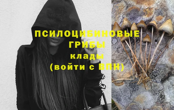 герыч Бронницы
